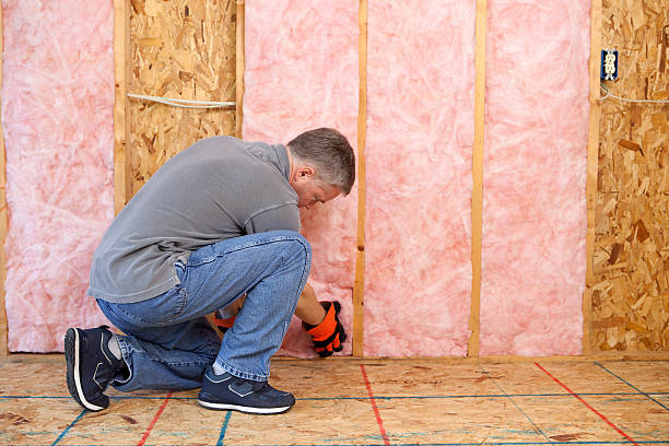Best Commercial Insulation in Belleville, WI
